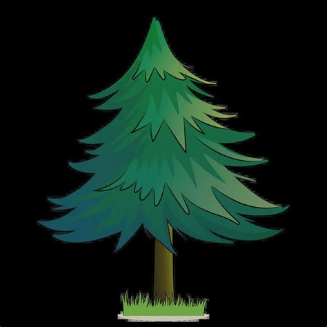 How to Draw A Pine Tree Step by Step