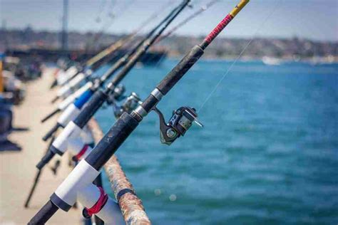 Saltwater Pier Fishing Basics and Tips - Gottemondood