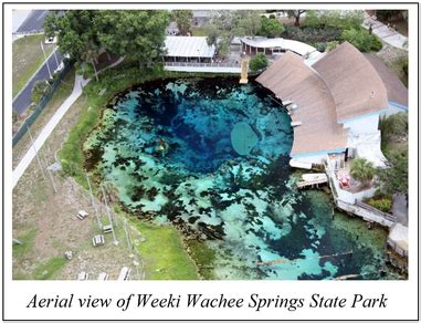 Geology of Weeki Wachee Springs State Park | Florida State Parks