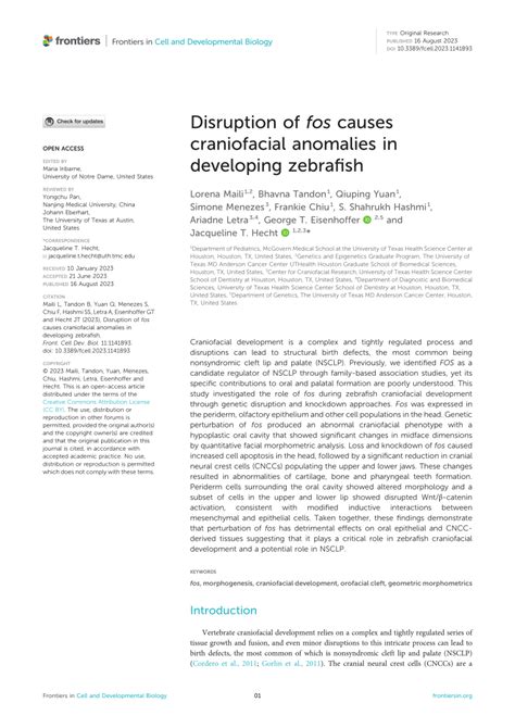 (PDF) Disruption of fos causes craniofacial anomalies in developing zebrafish