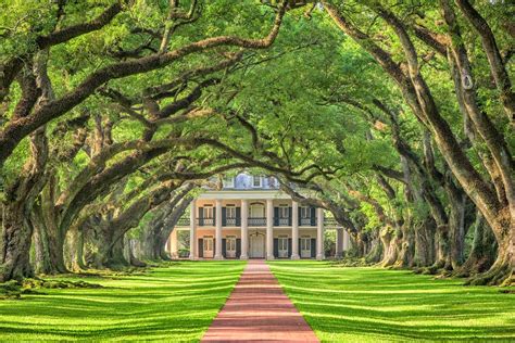 Oak Alley Plantation | Trailfinders