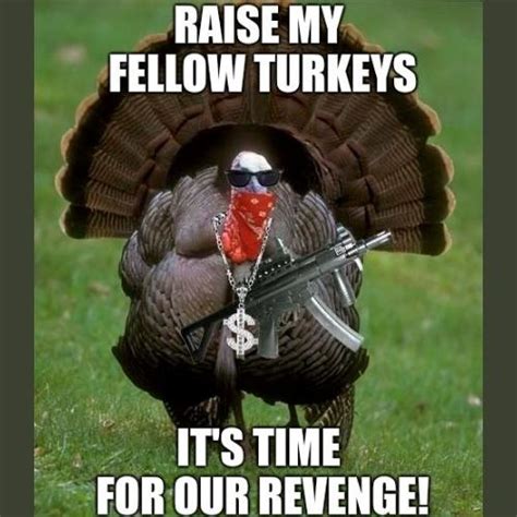 30+ Most Hilarious Funny Turkey Memes 2023