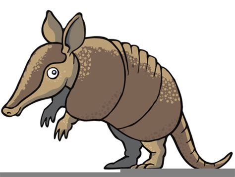 Cartoon Armadillo Clipart | Free Images at Clker.com - vector clip art online, royalty free ...