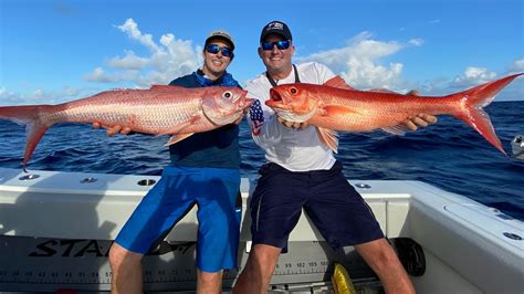 Giant Queen Snapper on TINY rod!!! {Catch Clean Cook} ft. STANZFAM - YouTube