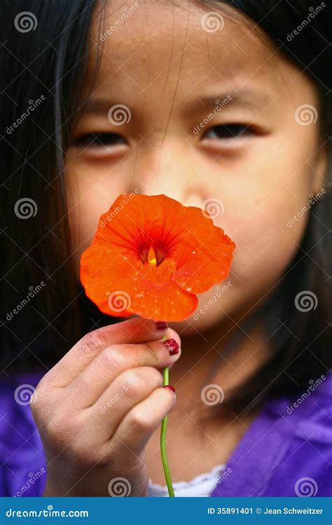 Child Hand Picking Up a a Daisy Flower Stock Image - Image of bloom ...