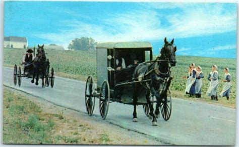 Greetings form "The Amish Country" - Amish Family Carriage & Courting ...