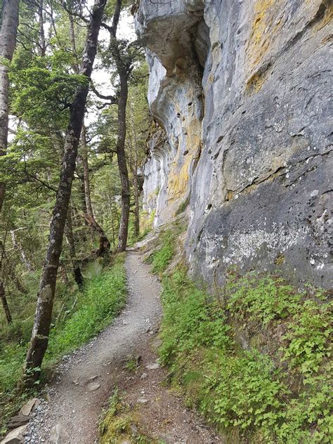 Kepler Track NZ Great Walk - Walking and Hut Guide