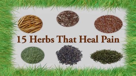 15 Herbs For Pain Relief - Neck Pain, Back Pain, Arthritis Pain etc. - YouTube