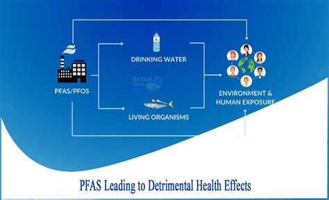 What is PFAS and How to Reduce from Water