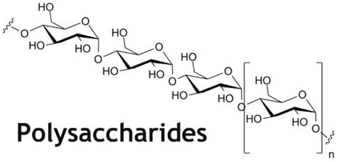 Structure Of Polysaccharides