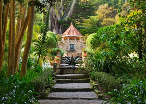 Tresco Abbey Garden - clivenichols.com