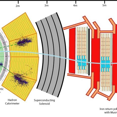 4: A cross-section of the CMS detector. The parts of the detector in... | Download Scientific ...