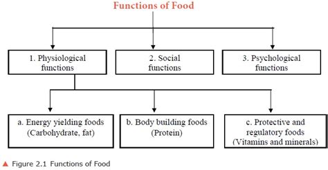 Functions of Food