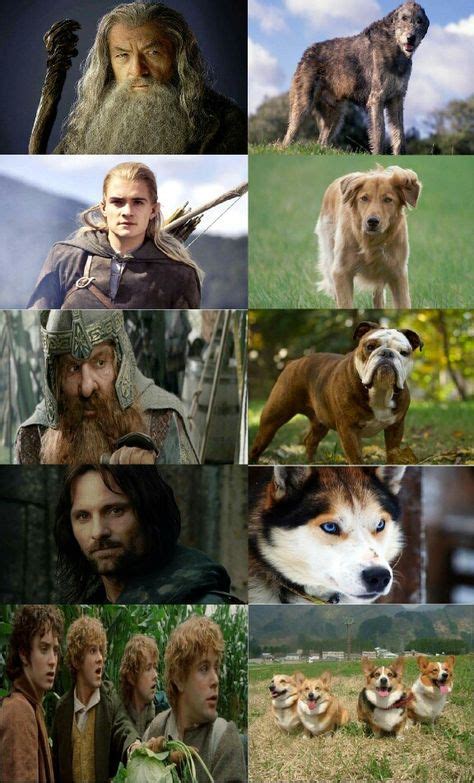 Discover the Fascinating Characters of LOTR