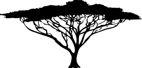 African Trees Silhouette Drawing - tree silhouette png download - 4726*2260 - Free Transparent ...