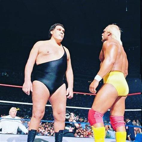 Hulk Hogan vs.Andre The Giant(Wrestlemania 3,March 29,1987) : r/WWE