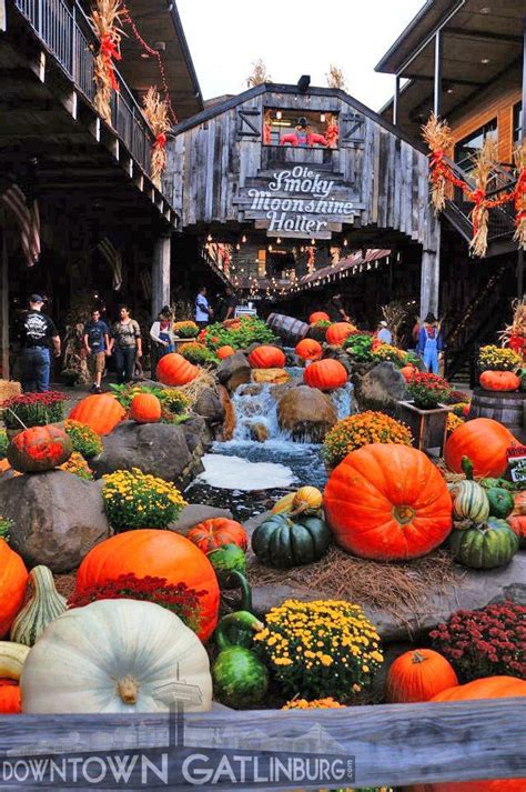 Fall Fun and Festivities - Downtown Gatlinburg | Facebook | Fall pictures, Beautiful fall, Fall fun