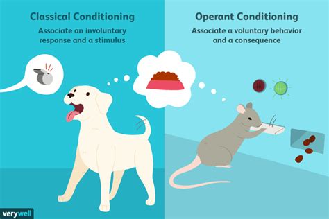 Classical Conditioning Vs Operant Conditioning Venn Diagram