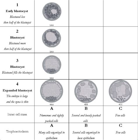 Figure 4 from Methods of embryo scoring in in vitro fertilization. | Semantic Scholar