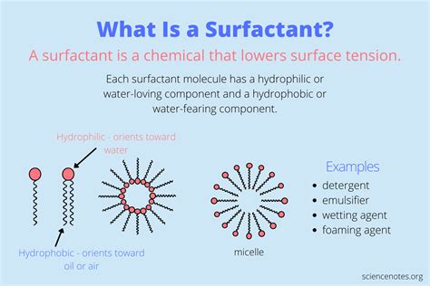 Surfactant Definition and Examples