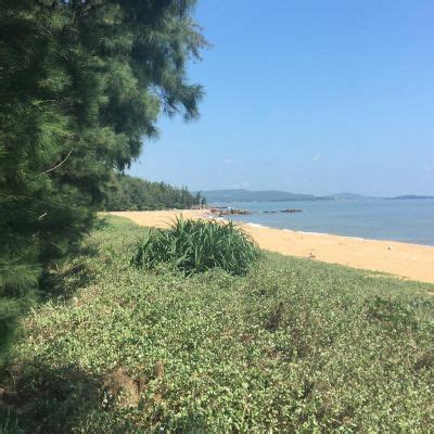 Camping Paradise beach 🏖️ Hoang Mai, Nghệ An, Vietnam - detailed features, map, photos