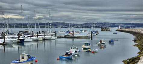 Brixham Harbour Free Stock Photo - Public Domain Pictures