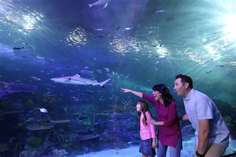 The New Branson Aquarium - Rent Branson