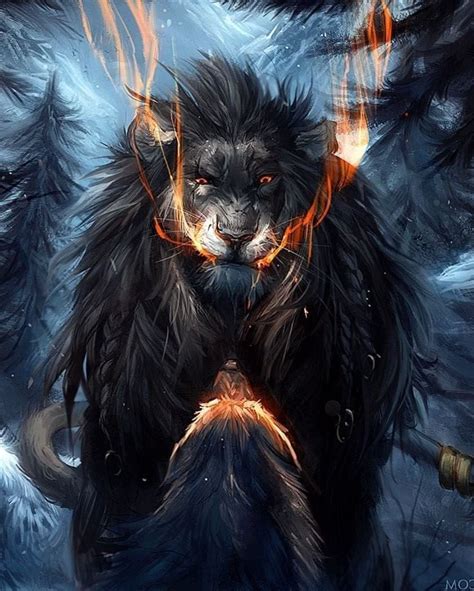 Wolf And Lion Wallpapers free download