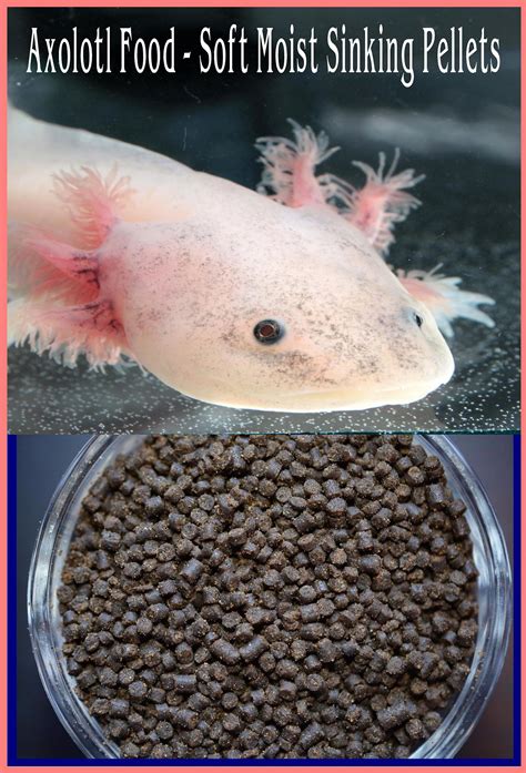 ABF Gourmet Axolotl Soft Food Pellets 3.2mm heat | Etsy