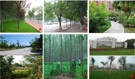 The seven types of land use in our study: ( a ) Road greenbelts; ( b )... | Download Scientific ...