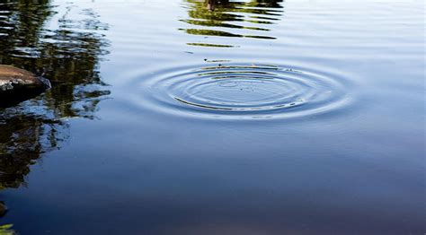 Ripples On A Pond Photograph by Rapideye - Pixels