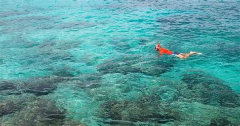 Molokini Snorkel Boat Tickets | Discount on Catamaran Snorkeling