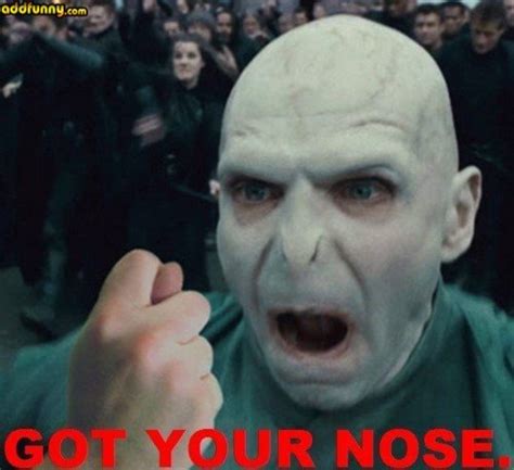 Voldemort Funnies! - Lord Voldemort Photo (27763147) - Fanpop