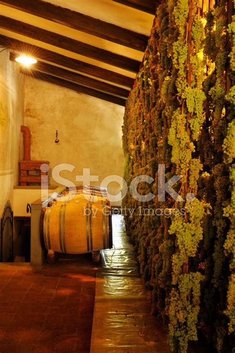 Old Wine Cellar Stock Photo | Royalty-Free | FreeImages