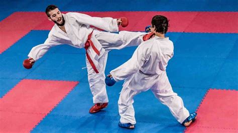 Which Martial Arts Are in the Olympics? - The Complete List