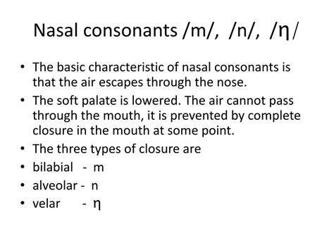 Nasal Consonants and Adjectival Clauses - ClassNotes.ng