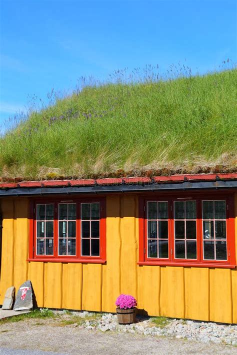 Norway grass sod roof stock photo. Image of grass, hytte - 243931854