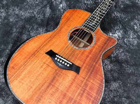 Lacewood Guitars History and Guide - Guitar Space