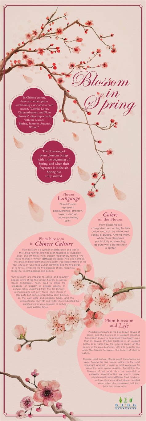 Blossom in Spring- Plum | Blossom meaning, Blossom, Flower meanings