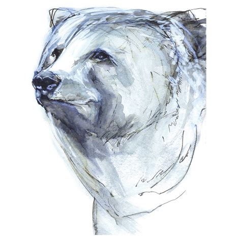 Blue Bear Sketch Canvas Art | Bear sketch, Canvas art, Bear art