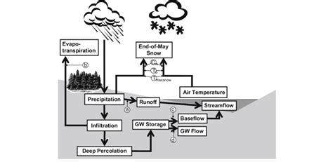 Schematic of water-balance model showing variables (boxes) and... | Download Scientific Diagram