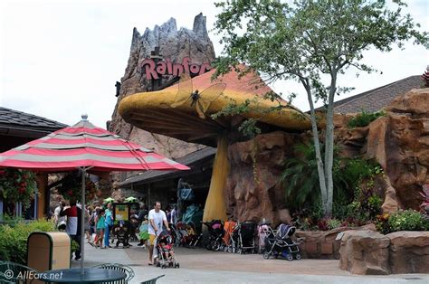 Exterior Pictures of Rainforest Cafe in Walt Disney World - AllEars.Net