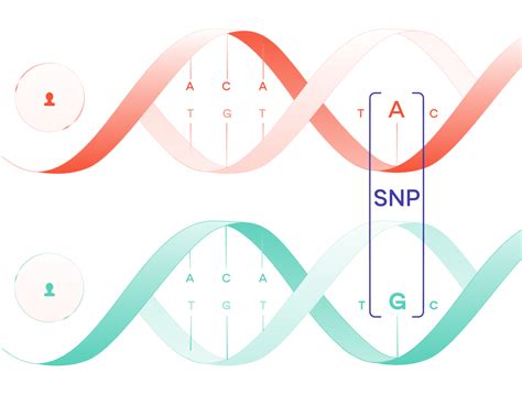 SNP of the week. This week, we look at the genetics of… | by Sano ...