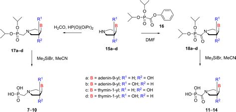 Pyrrolidine nucleotide analogs with a tunable conformation