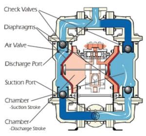 Wiring And Diagram: Double Diaphragm Pump Diagram