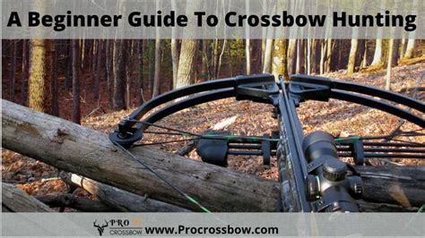 A Beginners Guide To Crossbow Hunting | ProCrossbow