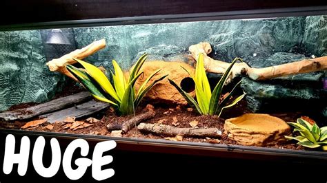 Aggregate more than 66 ball python tank decor best - seven.edu.vn