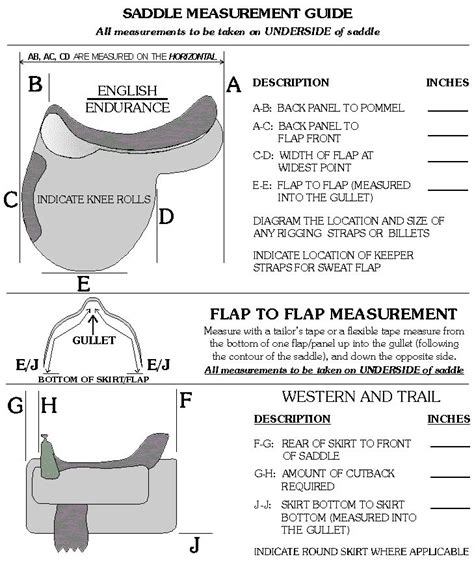 how to measure for a dressage saddle - Rosamaria Trapp