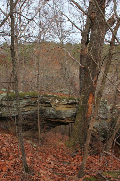 Buzzard Roost Trail (Ozark Forest) | Arklahoma Hiker