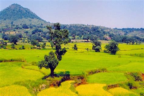 Movers Move: Araku Valley - Andhra Pradesh,India.